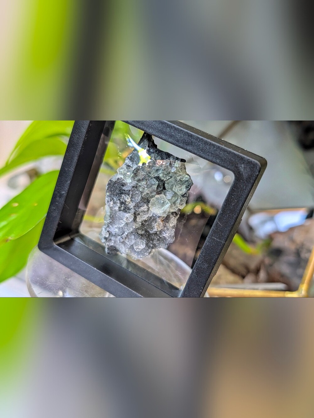 Chinese Green Fluorite Crystal Cluster in Display Case